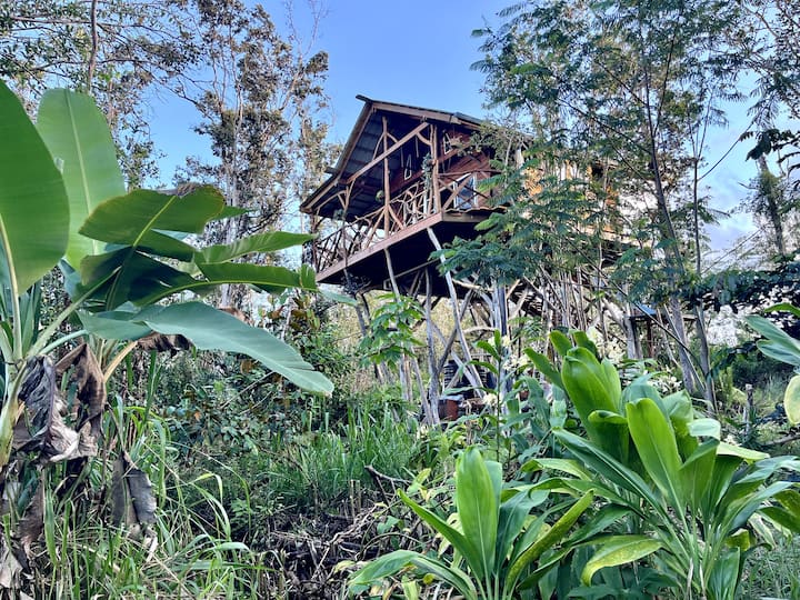 Kilauea. 30min to Volcano and Beaches.Treehouse.