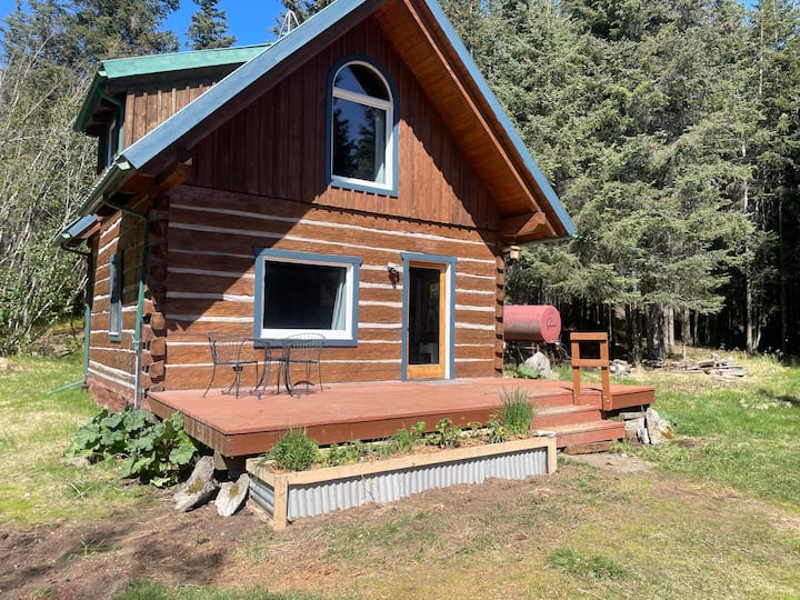 Cozy Log Cabin