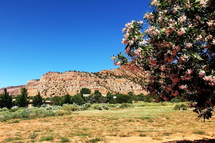 Desert DreamzZz