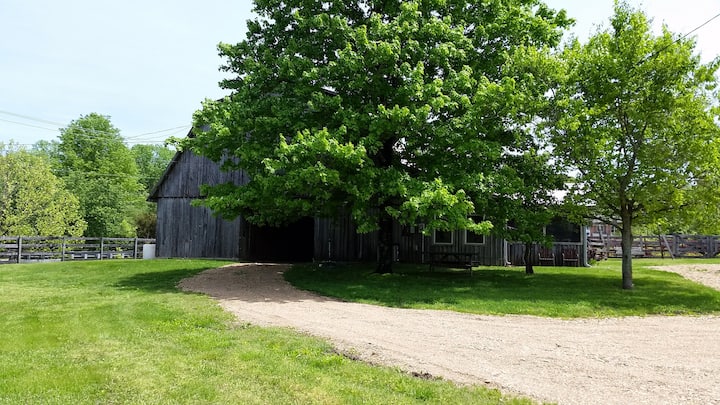 Poplar Hollow Barn