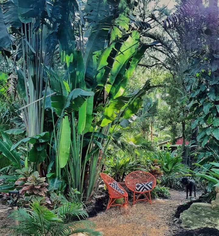 Condé Nast Top 25 · Magical Botanical Garden stay