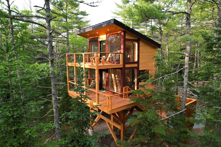 Forest Views | Private Hot Tub | Alder Treehouse