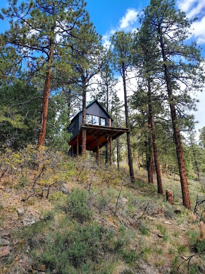 Mountain High Tree House