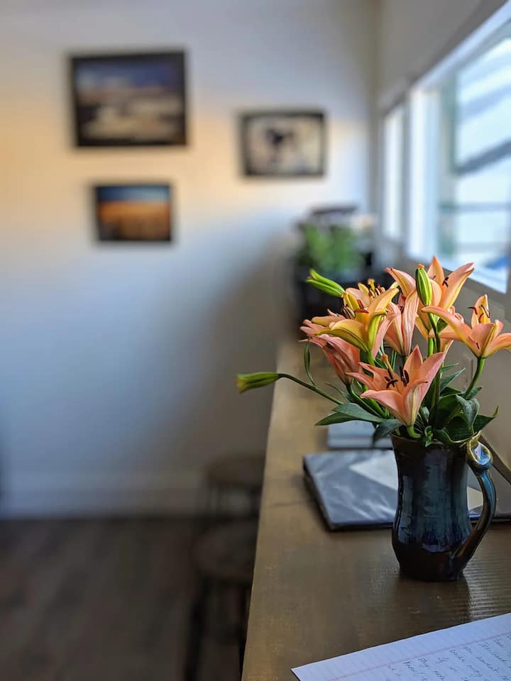 Cozy Bison Bungalow - 3 blocks to downtown!