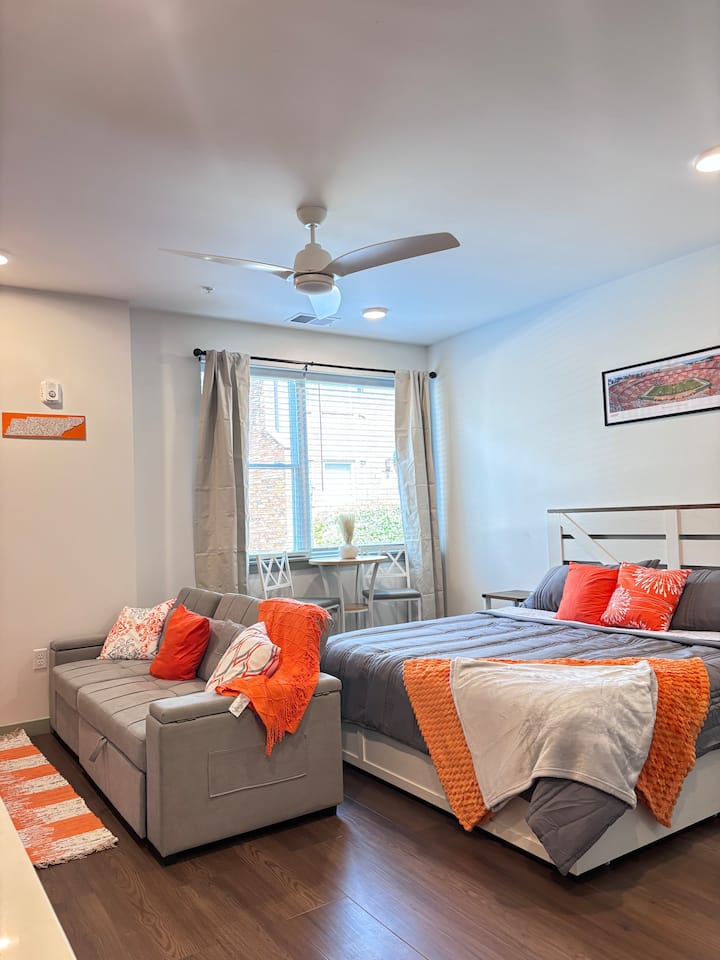 Luxury DT Studio • Walk 2 Everything • FreeParking