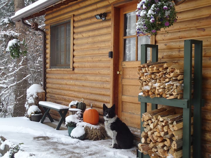 Cabin studio with full kitchen along creek #2