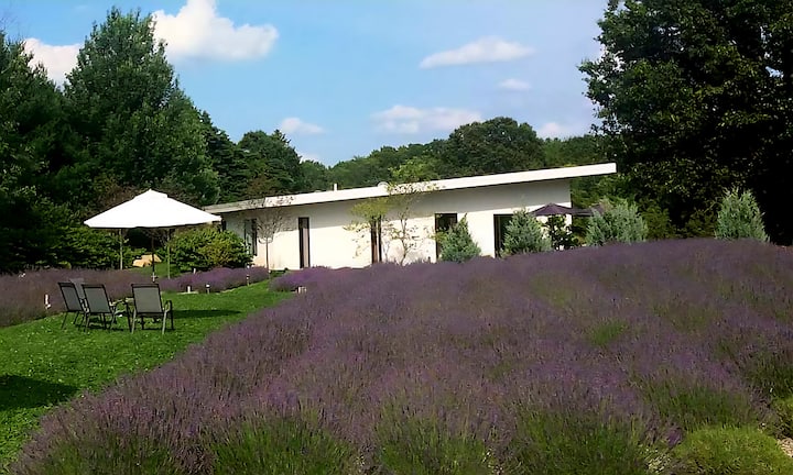 Summerhouse Lavender Farm