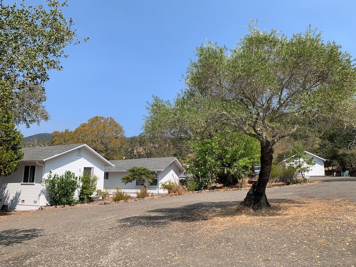 Cozy Sonoma Studio Nearby Wineries and Restaurants