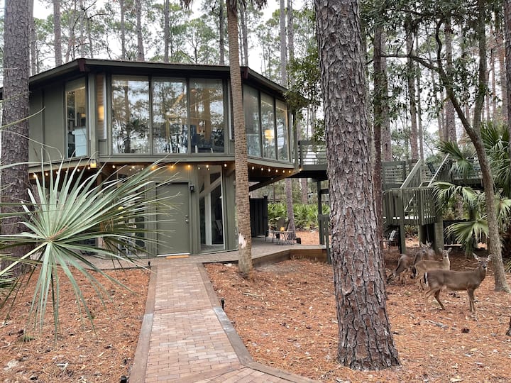 Harbour Town Tree House | Private Office | HT Pool