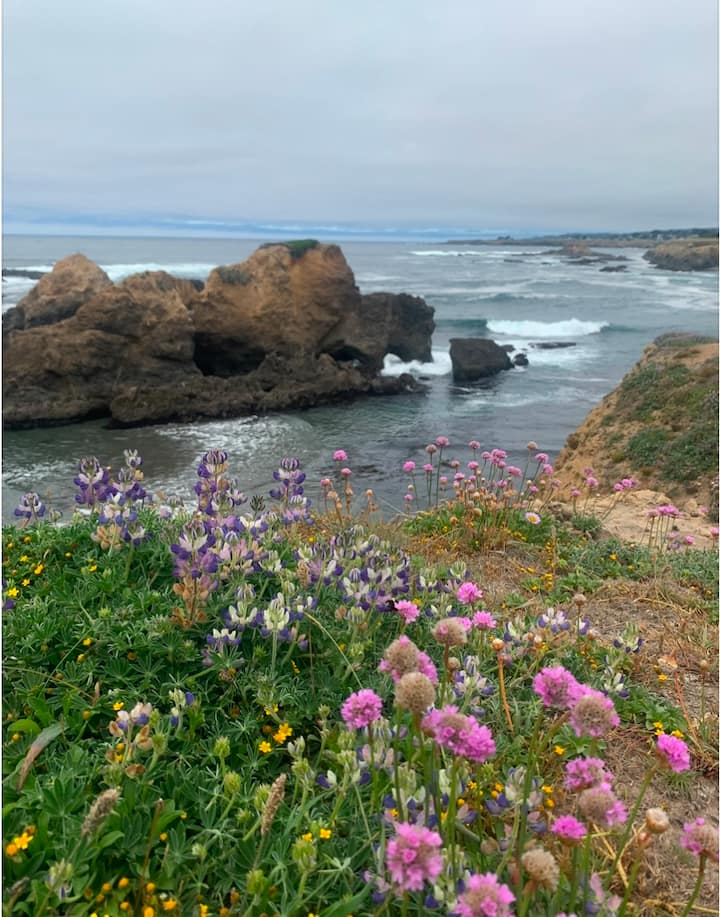 Mendo Guest Cabin-close to beach, town,hiking