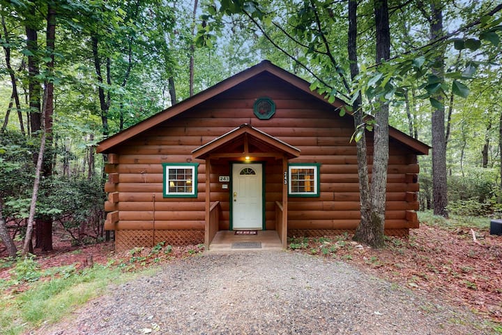 Shasta Cabin Helen Stay