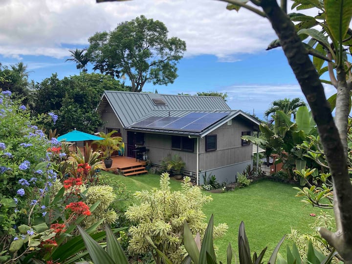 Hale Walua Ocean View Artist's Ohana
