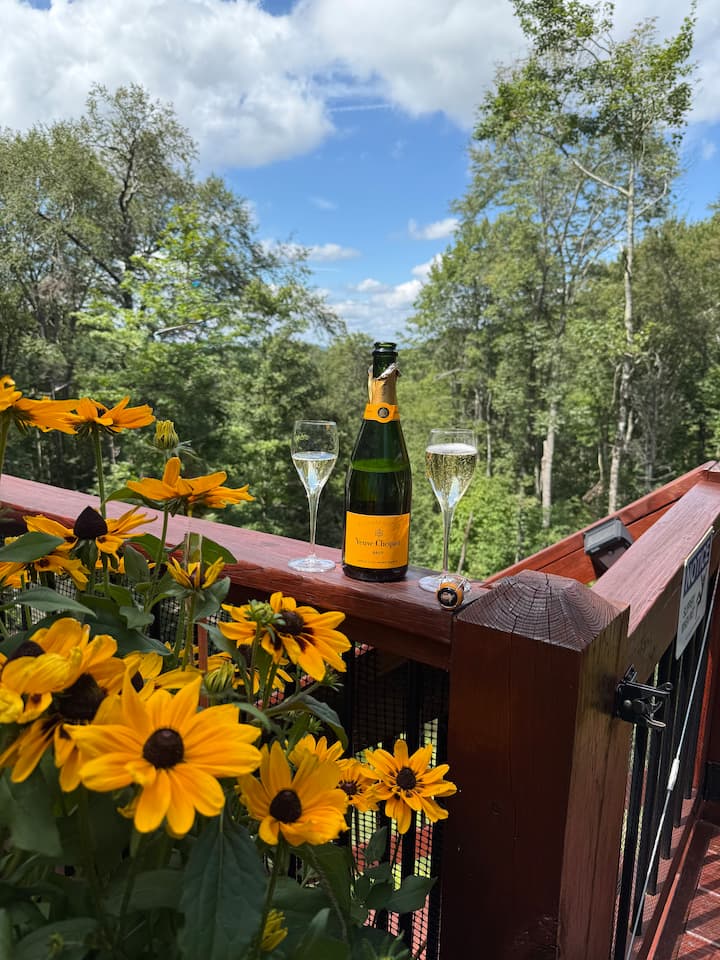 Luxury Beech Mtn. Fireplace, Hot Tub, Views, Pets