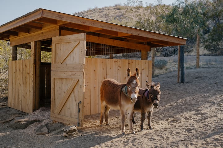 Wilderness Cabin w/ Mini Donkeys & Wood-fired Tub