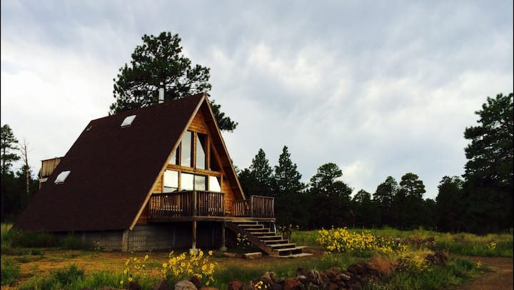 A-frame Mountain View Cabin in the National Forest