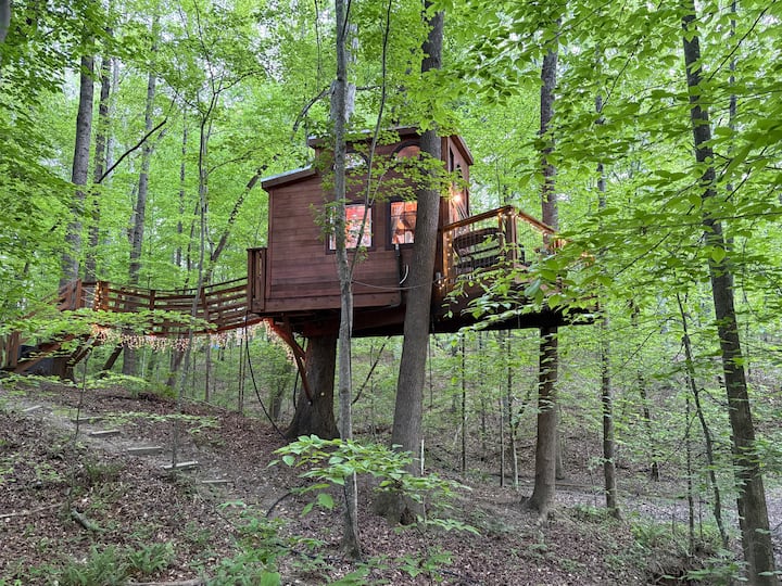 Spirit of the Oaks Treehouse