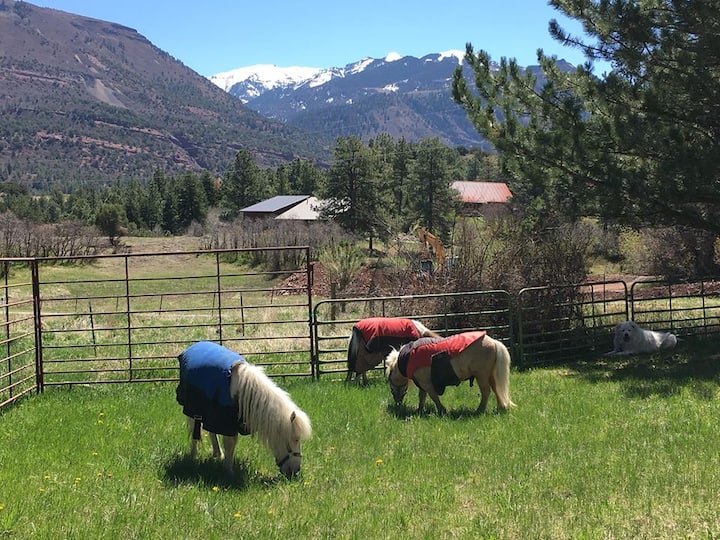 Moe's Mini Horse Farm - Moose Bedroom (Queen)