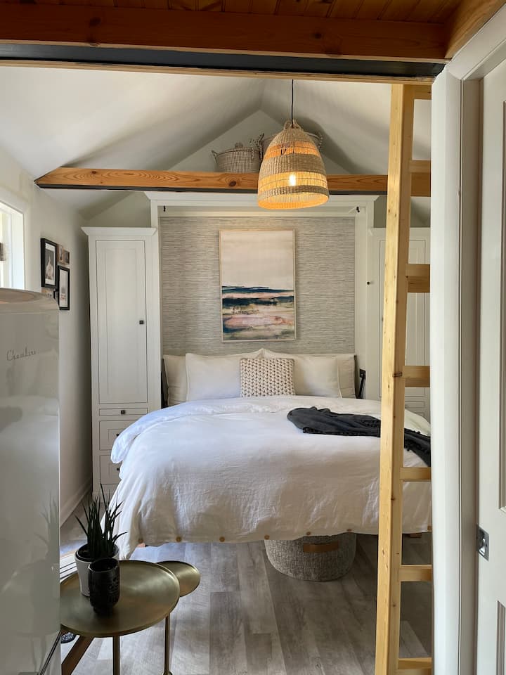 Posh Tiny House in Downtown Reho w/Murphy Bed