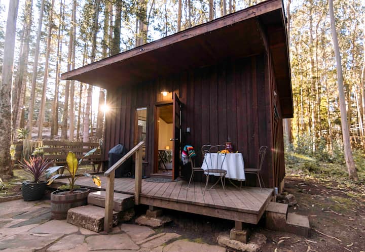 Coastal Forest Cabin, Walk to beach and waterfall