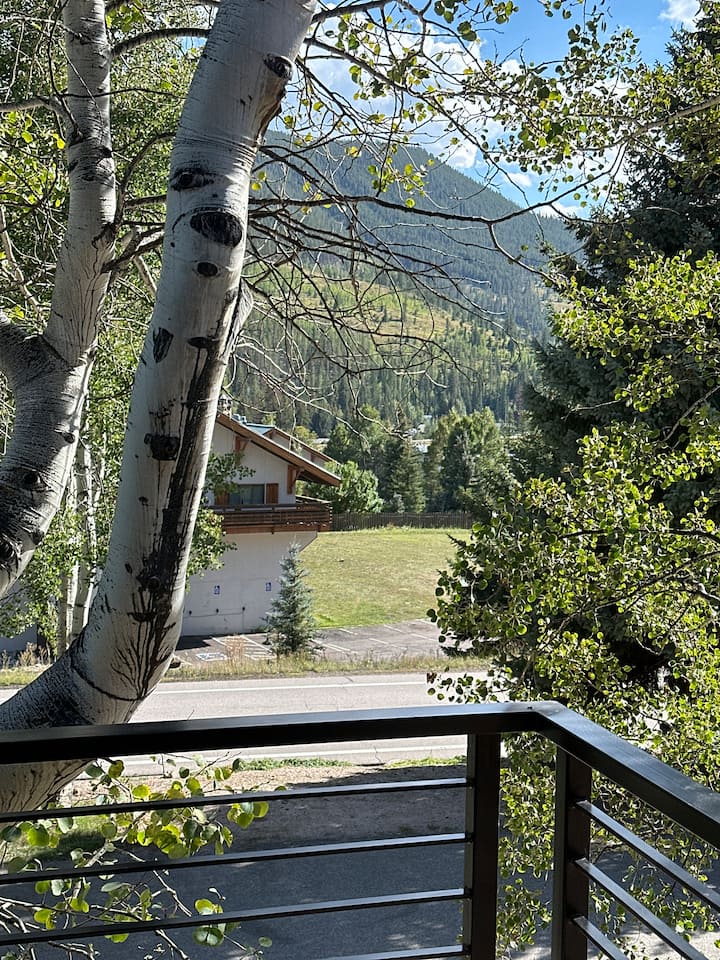 2 Bed/2 Bath Condo-no pets, kings/twins*