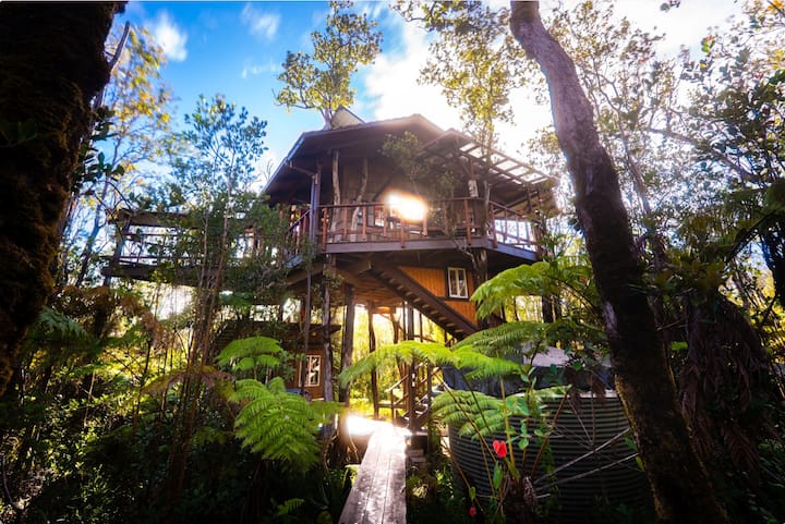 Secret Treehouse
(under NEW management)