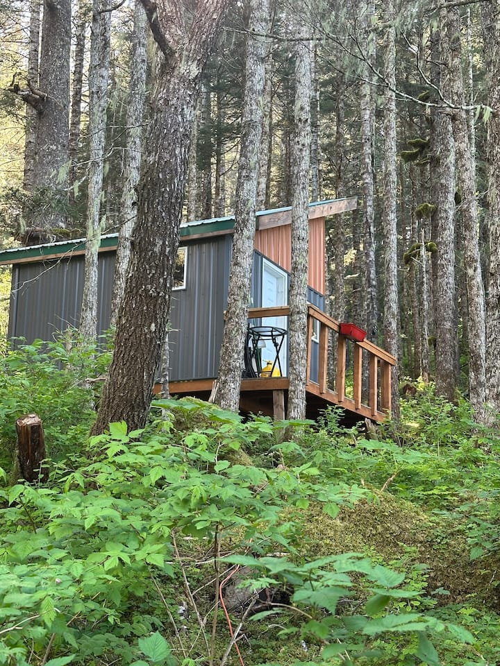Ellsworth Glacier View Cabin #3
(Maischeid)