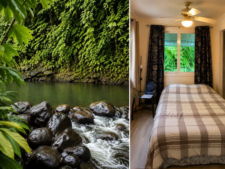 Suite with Swimming Hole • Walk to Hilo Bayfront