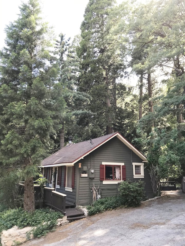 1930 Cozy One Bedroom Lake Arrowhead Cabin