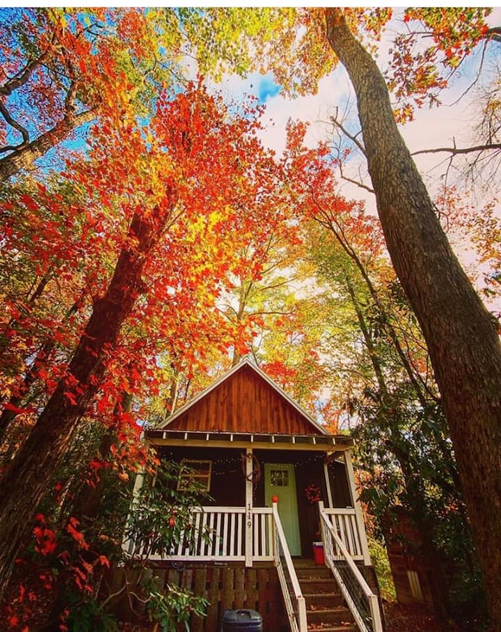 The Cottage on Central