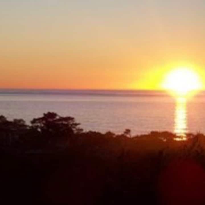 Cute Cambria Cottage~Ocean Views and Dog Friendly!