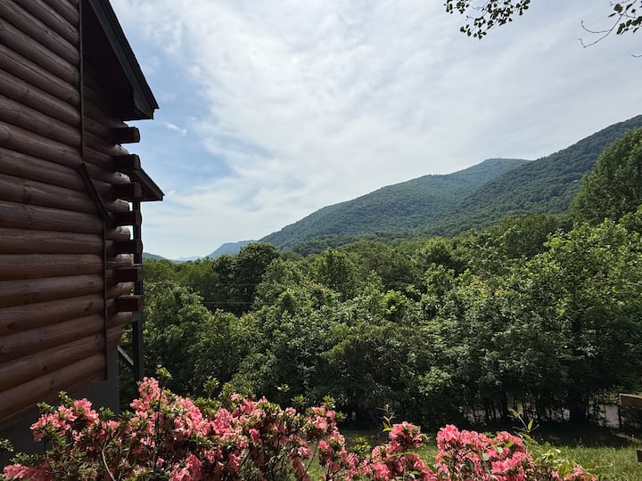 Sleepy Bear Cabin-Breathtaking View! Dogs Welcome!