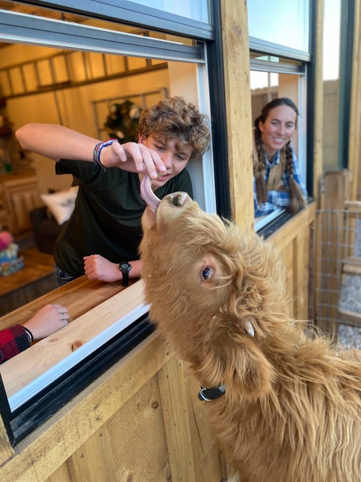 Farm House #5 - Tiny home near Zion - Mini animals