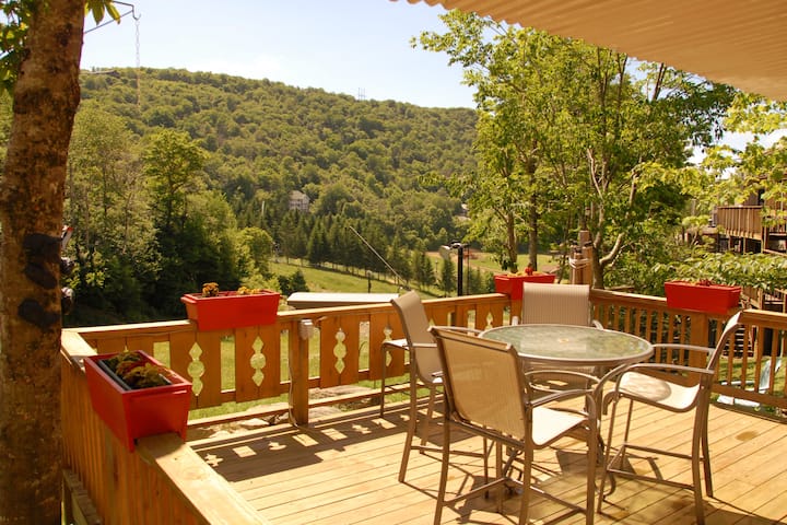 Couples retreat, Beech Mountain Condo on Slopes