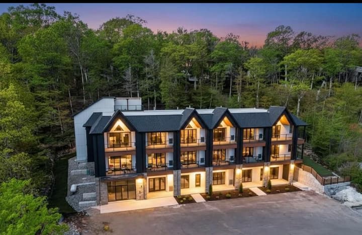New Downtown Condo