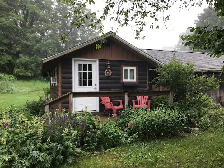 Cozy Studio Suite