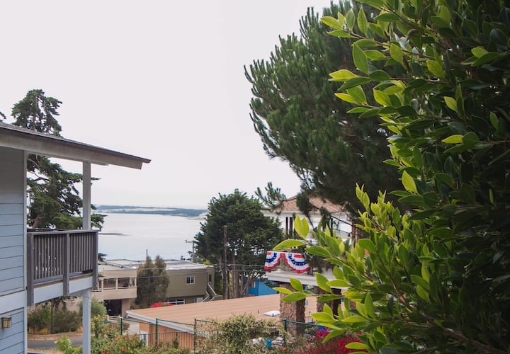 Heaven's bloom with Bay View