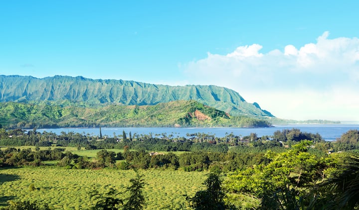 New! Hanalei Bay Penthouse with Ocean Views