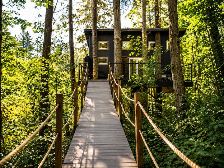 Yeti's Tree House: Where Dreams Come True