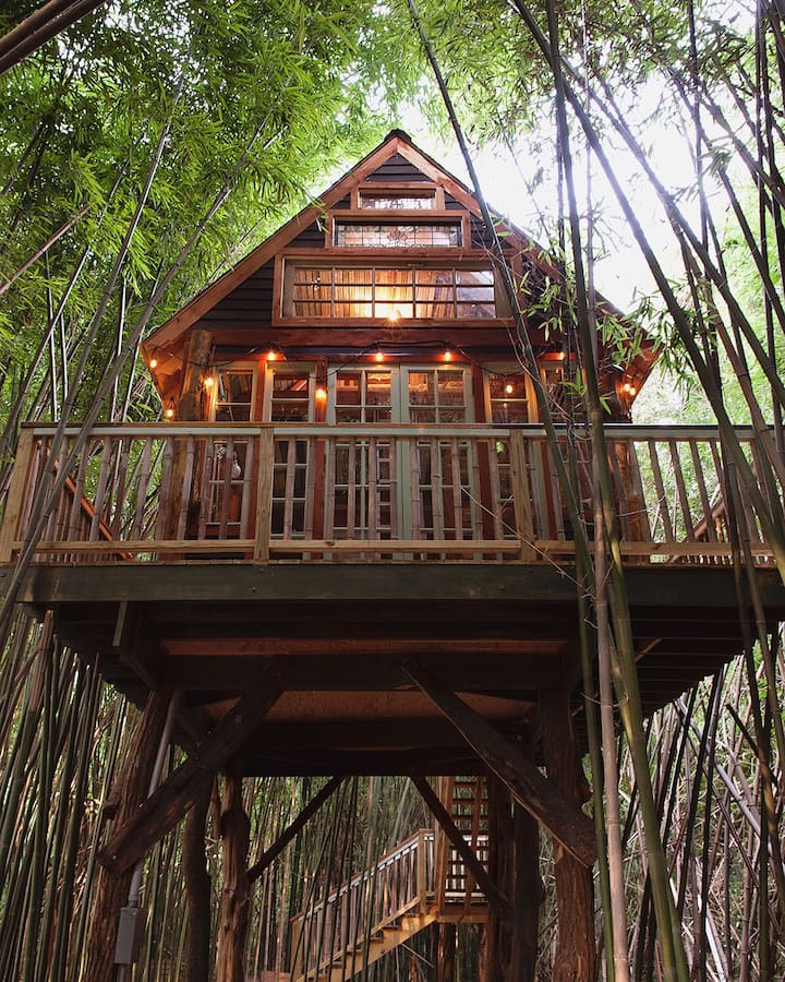 Alpaca Treehouse | Private | Urban Farm | Netflix