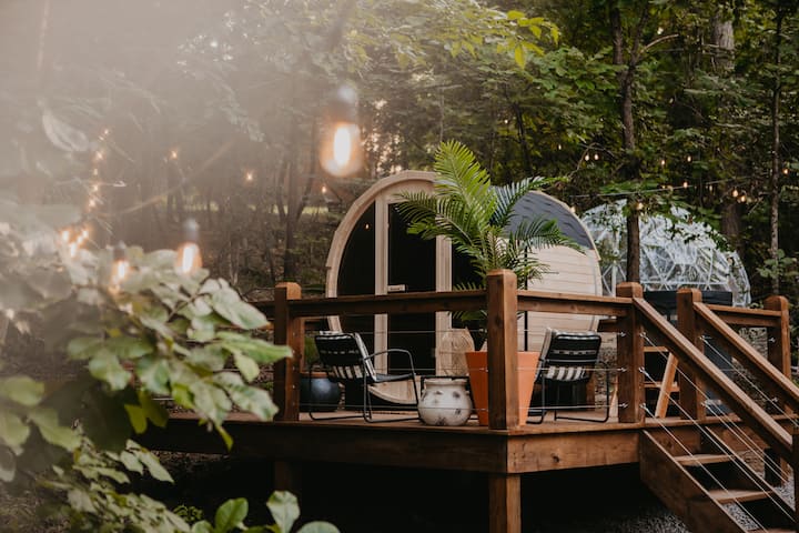 The Wild Haven