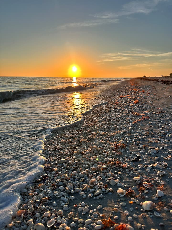 Sanibel Beachfront Condo | Shelling Paradise