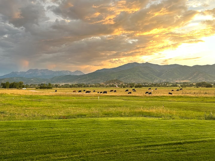 Summer Farm Retreat w/Views, Sunsets, Pasture Golf