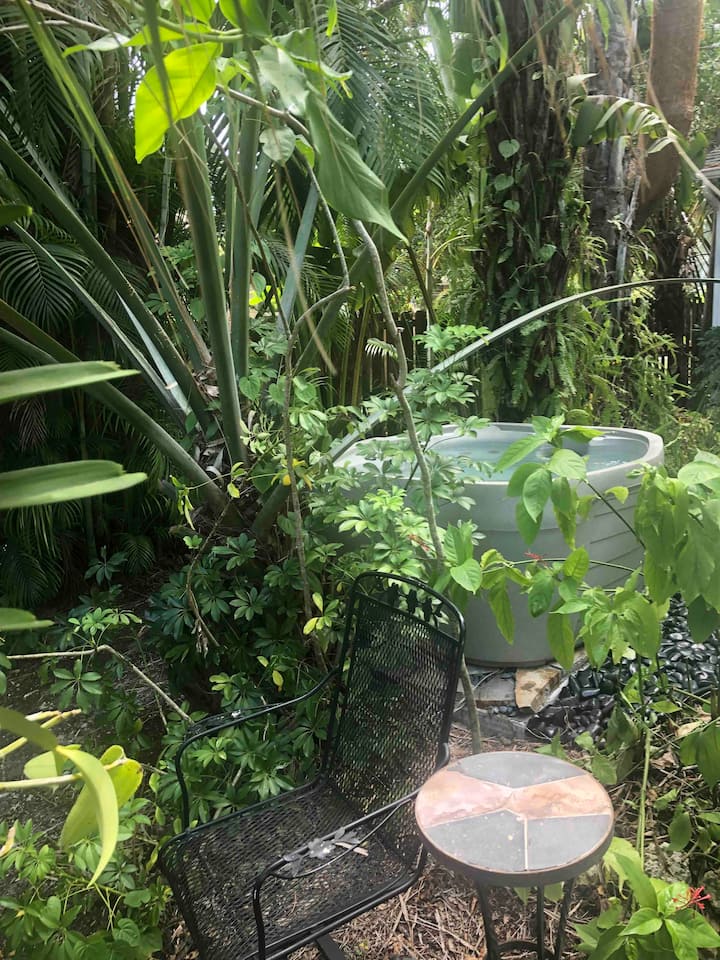 Jungle House