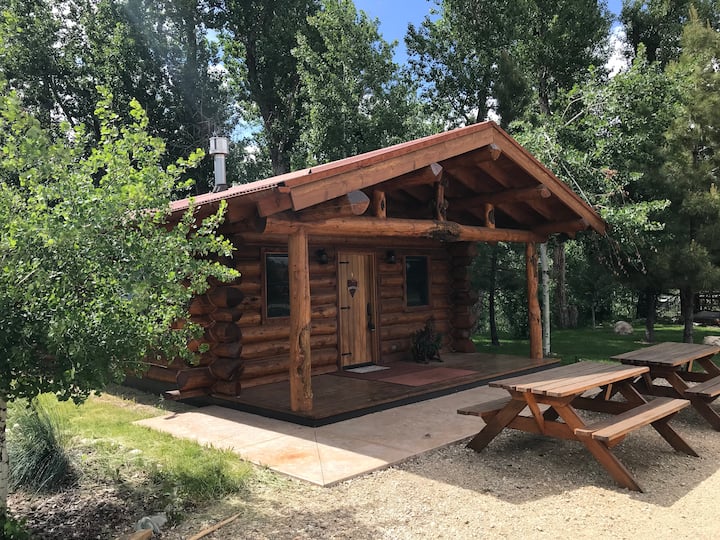 Private Luxury Log Cabin near Red Lodge, MT
