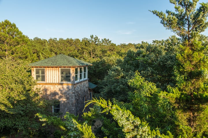 Sleep among the treetops at Treefrog Tower!