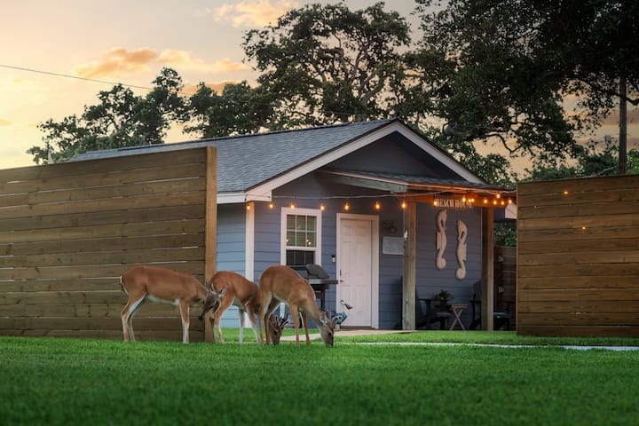 SeaStar Cottage, Voted 1 of Tx top Host by BNB!