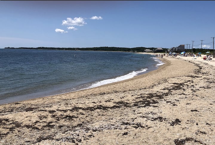 Location Location Location!  Beach, Bike,  Ferry