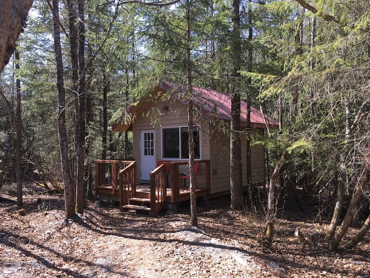 Leafy & Enchanting Fern Cabin6 W/ Queen Bed