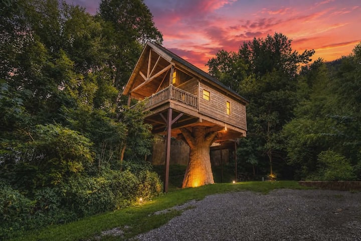 Treehouse • Hot Tub • Arcade • Fire Pit• Smokies