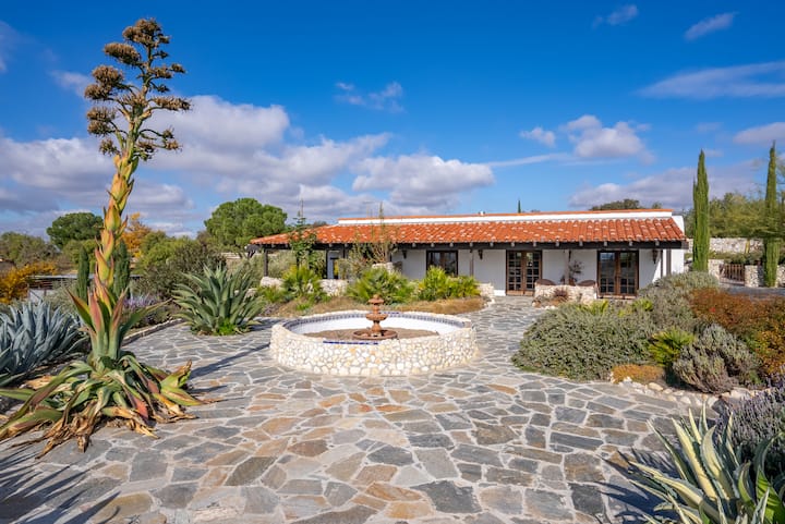 Olive House - tranquil retreat on an olive farm